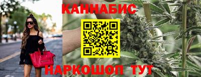 spice Новодвинск