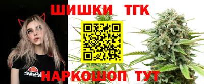 jwh Новозыбков
