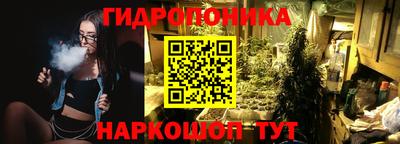 jwh Новозыбков