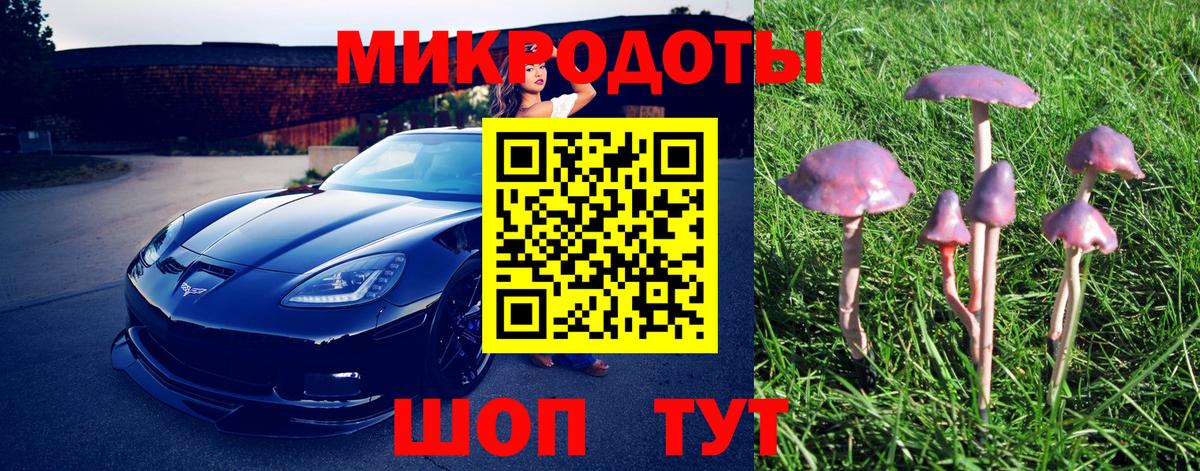 Сегежа  Галлюциногенные грибы Magic Shrooms  Галлюциногенные грибы мицелий  Вход с VPN 